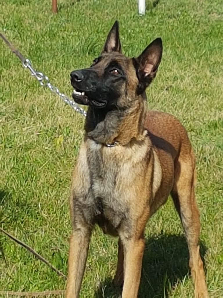 Lilou de mounsempe